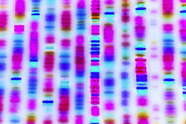 Graphic of DNA Sequence