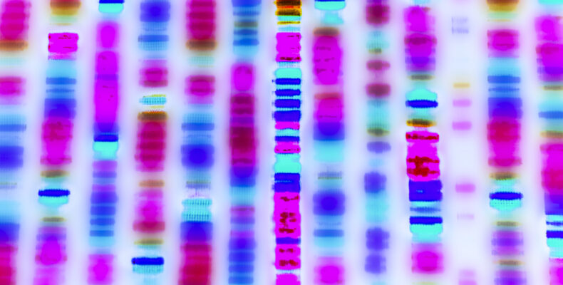 Biological Sequencing: How Inaccurate Sequences Can Lead To A Sequence Of Unfortunate Events 1 Graphic of DNA Sequence