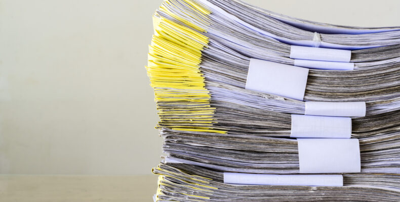 Preliminary opinion on description amendments issued by the Enlarged Board of Appeal in G 1/25